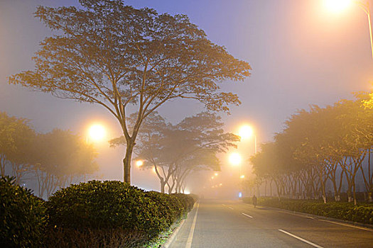 模糊,街道,雨,夜晚