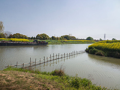 春天的无锡梁鸿湿地