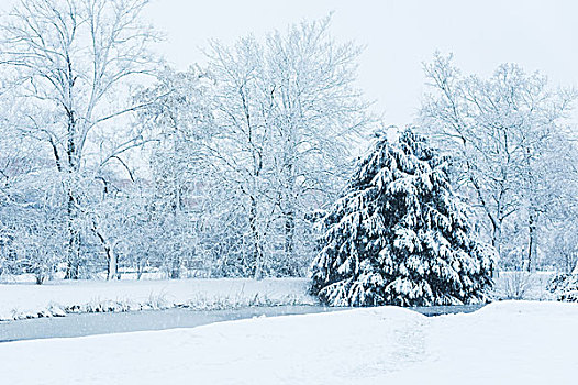 冬天雪景下雪的湖边