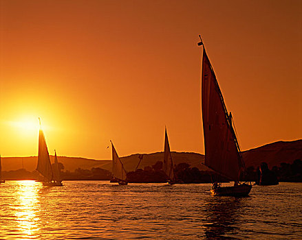 埃及,阿斯旺,尼罗河,三桅小帆船,日落