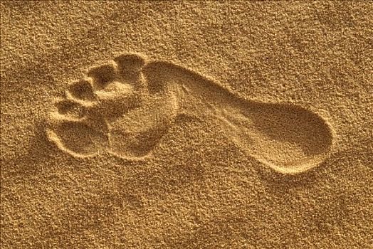 赤脚,脚印,沙漠,沙子,撒哈拉沙漠,阿尔及利亚,北非