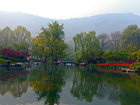 西湖郁金香,太子湾公园