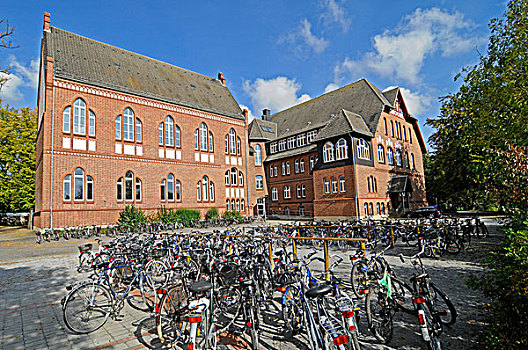 许多,自行车,高,学校,明斯特地区,北莱茵威斯特伐利亚,德国,欧洲