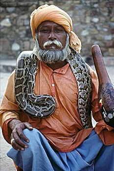 印度,德里,肖像,耍蛇