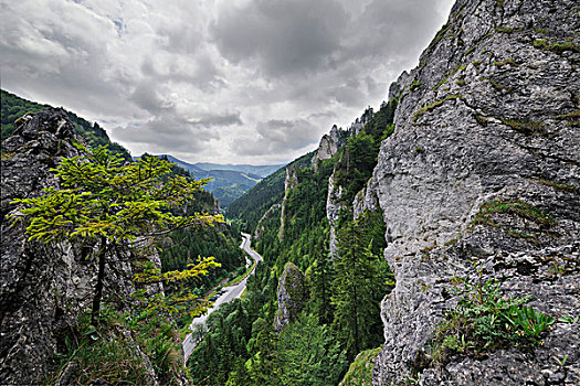 假山庭园,国家公园,斯洛伐克,欧洲