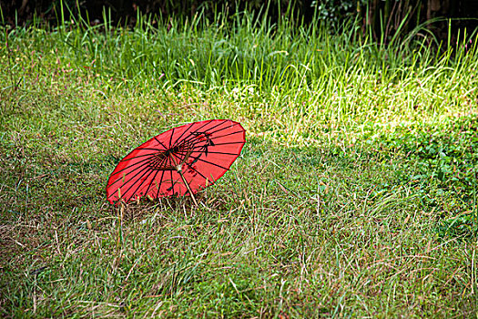 湖北恩施土司城草坪中的一把红伞