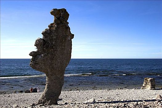 石灰石,形状,岛屿,哥特兰岛,瑞典