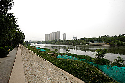 天津,道路,建筑