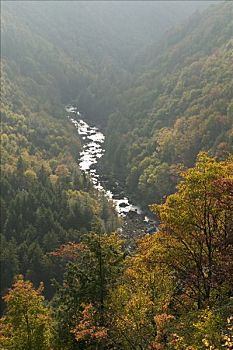 秋天,州立公园,西维吉尼亚,美国