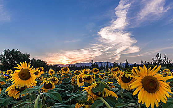 宁夏银川贺兰山风光