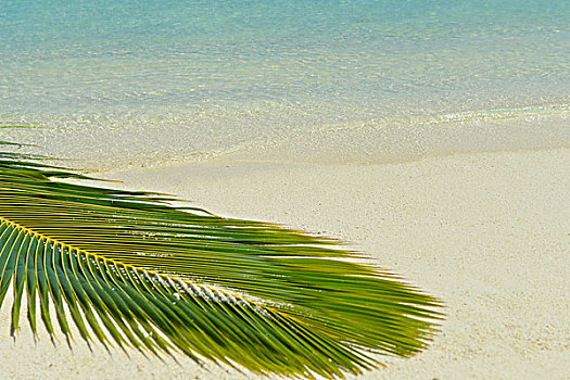 热带沙滩,自然,风景,白沙,夏天
