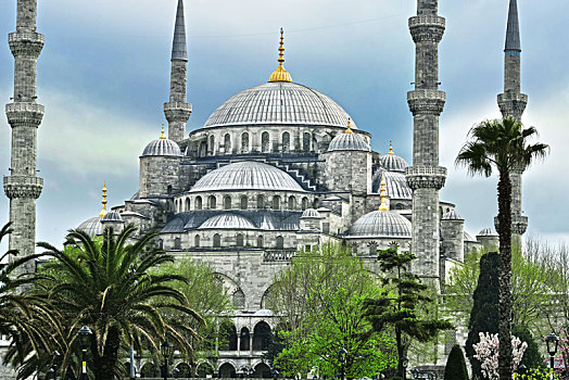 苏丹,清真寺,蓝色清真寺,伊斯坦布尔,土耳其
