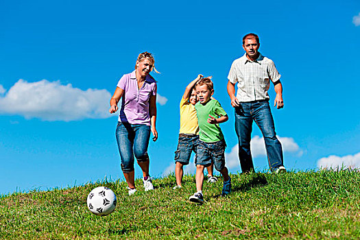 幸福之家,两个,小男孩,玩,足球,草,夏日草地