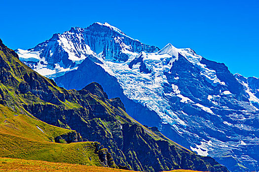 阿尔卑斯山,高山,雪,草