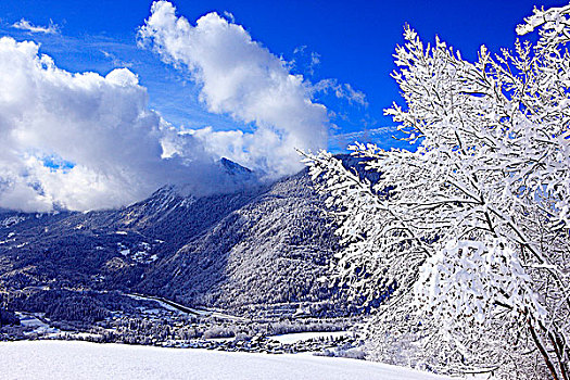 法国,隆河阿尔卑斯山省,阿尔卑斯山,上萨瓦省,风景,霞慕尼谷,冬天