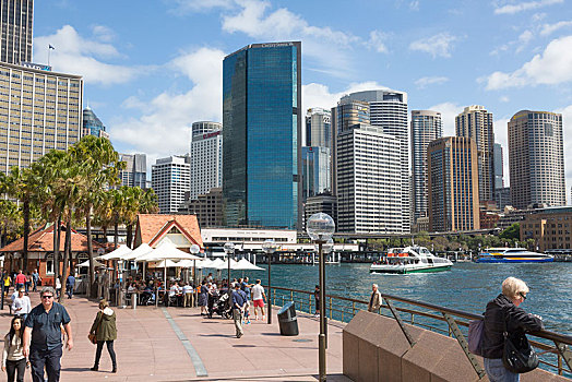 悉尼,市中心,环形码头