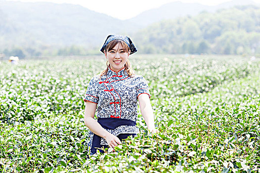 亚洲人,漂亮,女孩,种植园