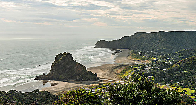 海滩,靠近,奥克兰,北岛,新西兰,大洋洲