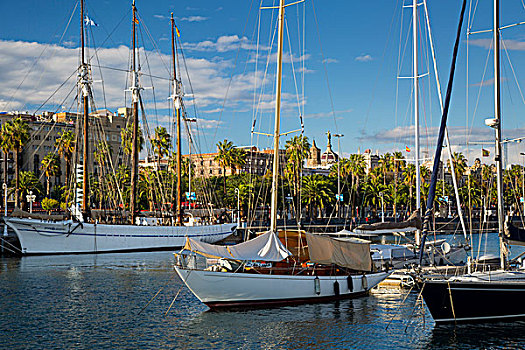 帆船,码头,巴塞罗那,加泰罗尼亚,西班牙