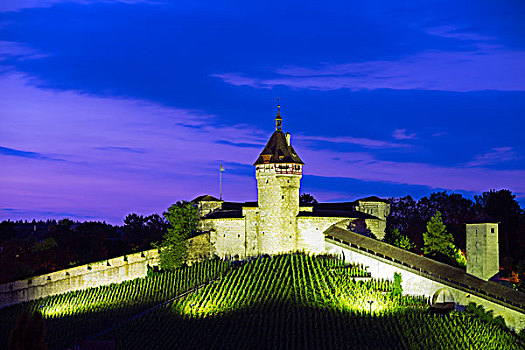 欧洲,瑞士,沙夫豪森,城堡,16世纪,要塞