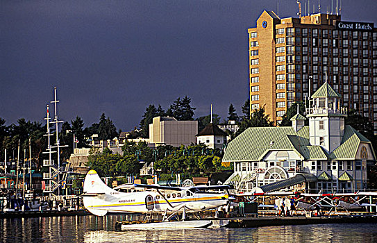 港口,商业,漂浮,飞机,温哥华岛,不列颠哥伦比亚省,加拿大