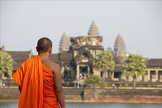 和尚,橙色,长袍,看,庙宇,吴哥窟,收获,柬埔寨