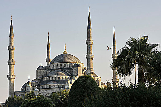 圆顶,尖塔,苏丹,清真寺,伊斯坦布尔,土耳其