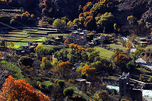秋季的村庄景色