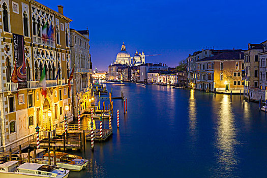 夜景,大运河,圣玛丽亚教堂,行礼,背景,学院,桥,威尼斯
