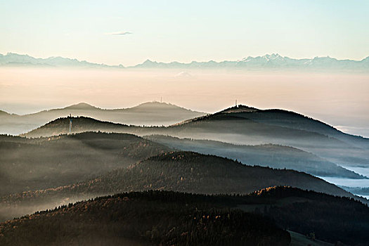 风景,南,山谷,阿尔卑斯山,早晨,气氛,雾,黑森林,巴登符腾堡,德国,欧洲