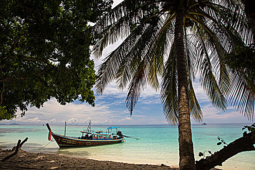 船,停泊,海滩,苏梅岛,泰国,亚洲
