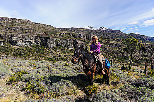 智利,波多黎各,微笑,金发女郎,骑,小马,潘帕斯草原