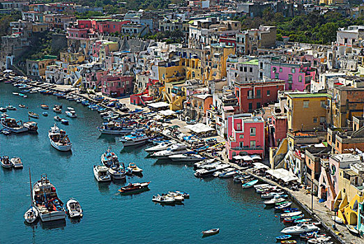 彩色,房子,捕鱼,港口,岛屿,那不勒斯湾,坎帕尼亚区,意大利南部,欧洲