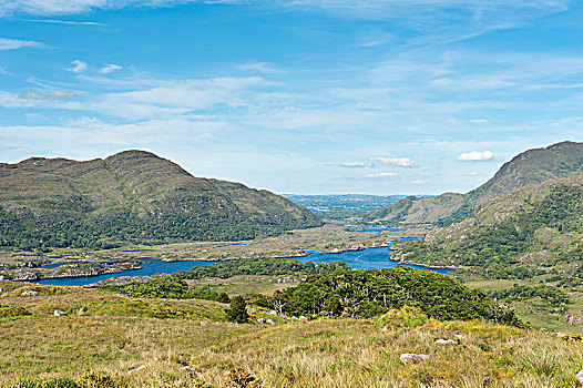 湖,风景,女性,基拉尼国家公园,凯瑞郡,爱尔兰,欧洲