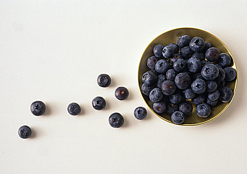 碗,蓝莓,白色背景,俯拍