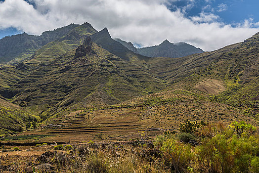 山谷,大卡纳利岛,加纳利群岛,西班牙,欧洲