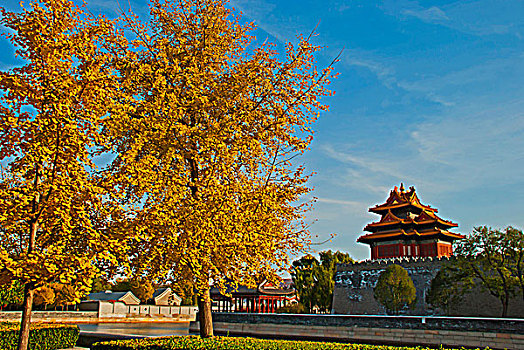 北京故宫角楼风景