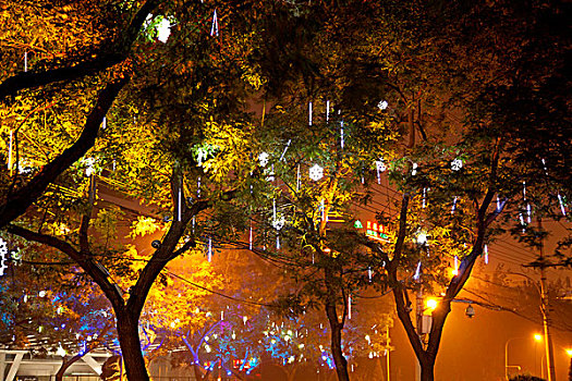 夜晚路边挂满五彩装饰灯的树