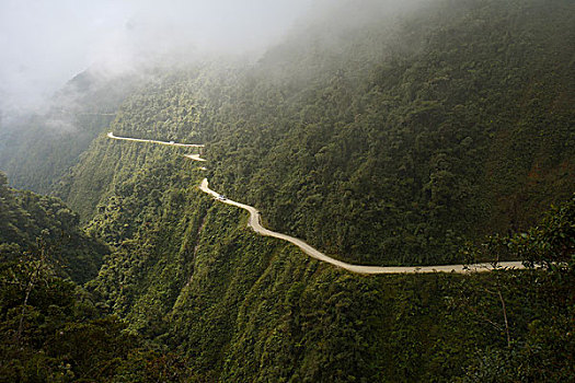 死亡,道路,弯曲,亚热带,雨林,北方,玻利维亚,南美