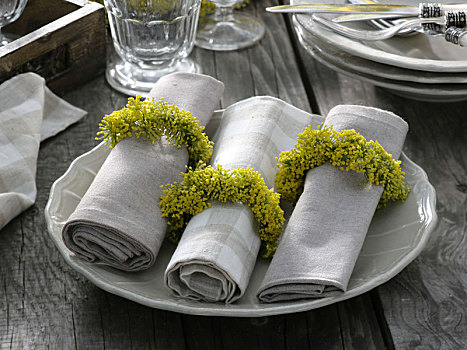 餐巾环,茴香,花