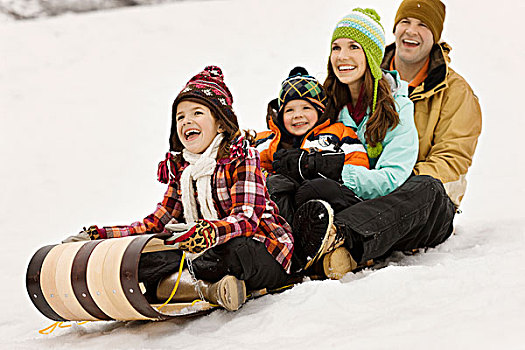 家庭,两个,成年人,两个孩子,坐,雪橇,雪
