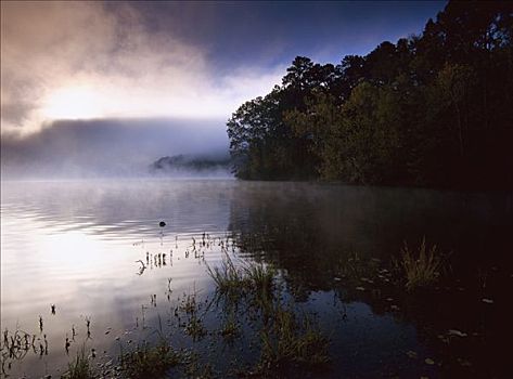 雾,上方,湖,圣凯瑟琳,州立公园,阿肯色州
