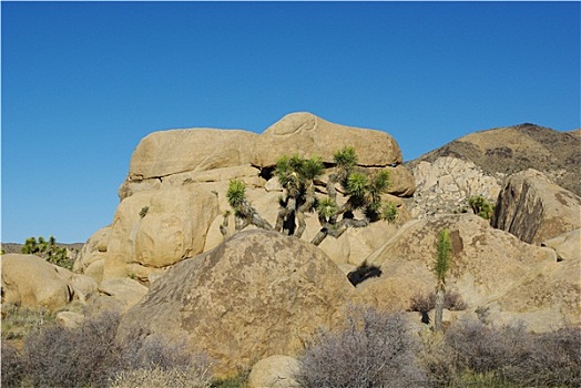 漂亮,石头,约书亚树国家公园,加利福尼亚