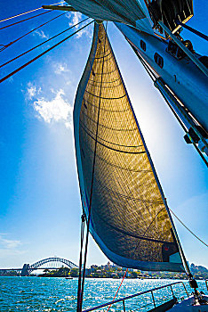 逆光,帆,帆船,悉尼港,悉尼海港大桥,背景,悉尼,新南威尔士,澳大利亚