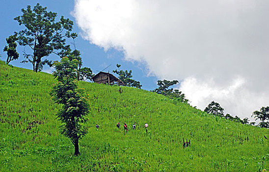 风景,一个,山,孟加拉,七月,2008年