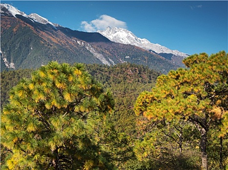 雪,山,云南,中国