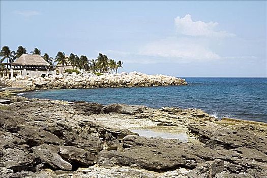 石头,海岸,坎昆,墨西哥
