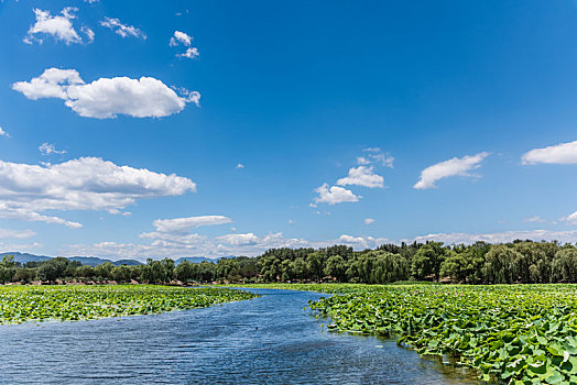 北京圆明园的池塘园林古建筑