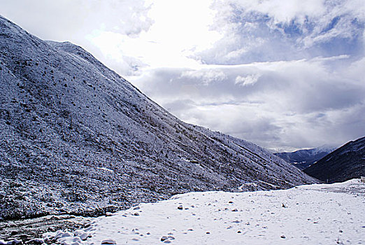 高原雪景