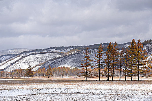 阿尔山雪景